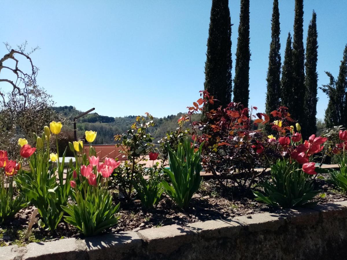 Villa Gervasella Pontedera Esterno foto