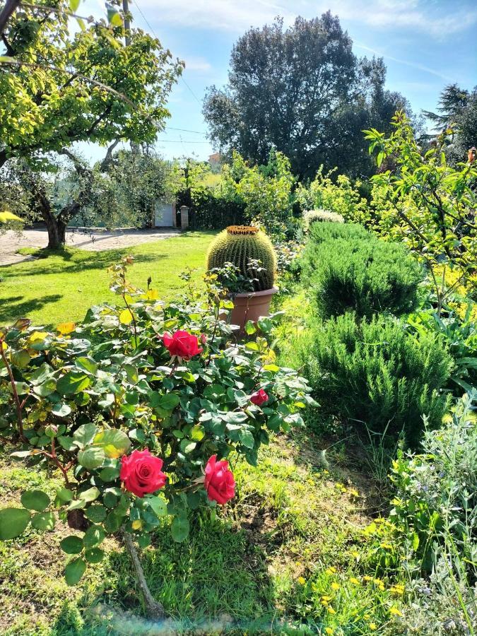 Villa Gervasella Pontedera Esterno foto